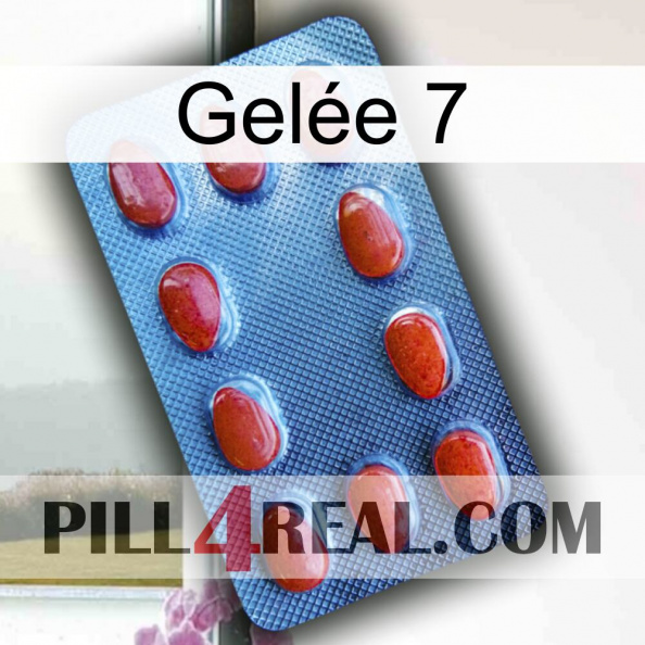 Gelée 7 06.jpg